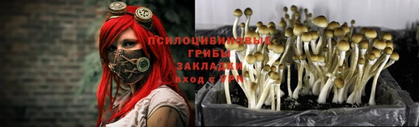 винт Алзамай