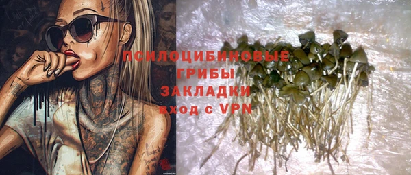 винт Алзамай