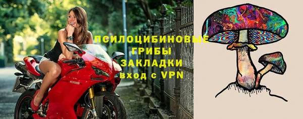 ГАЛЛЮЦИНОГЕННЫЕ ГРИБЫ Алексин