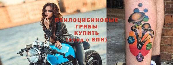ГАЛЛЮЦИНОГЕННЫЕ ГРИБЫ Алексин