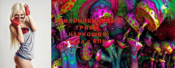 ГАЛЛЮЦИНОГЕННЫЕ ГРИБЫ Алексин