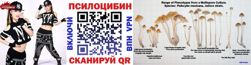 Галлюциногенные грибы Cubensis  Бодайбо 